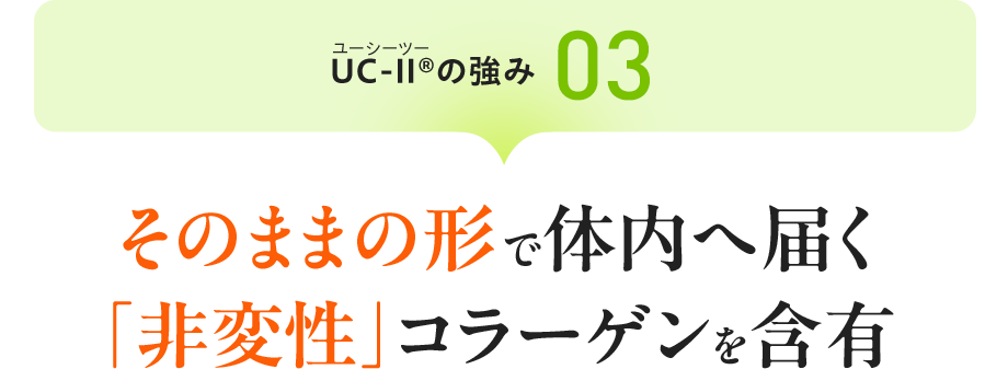 UC-Ⅱ&reg;（ユーシーツー）の強み03：そのままの形で体内へ届く「非変性」コラーゲンを含有