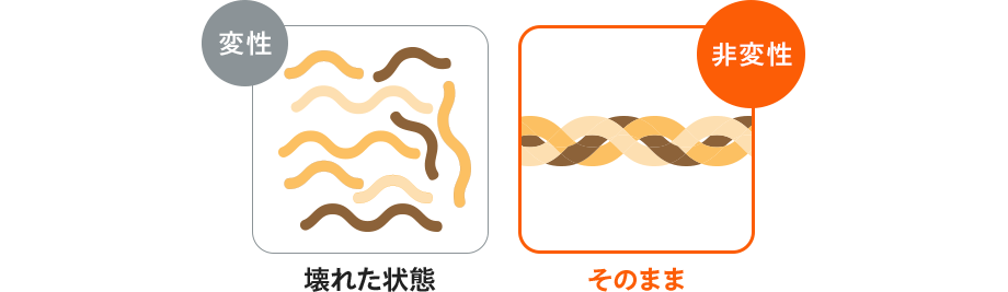 【図】変性：壊れた状態／非変性：そのまま