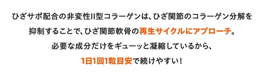 ひざサポ配合の非変性Ⅱ型コラーゲンは、ひざ関節のコラーゲン分解を抑制することで、ひざ関節軟骨の再生サイクルにアプローチ。必要な成分だけをギューッと凝縮しているから、1日1回1粒目安で続けやすい！
